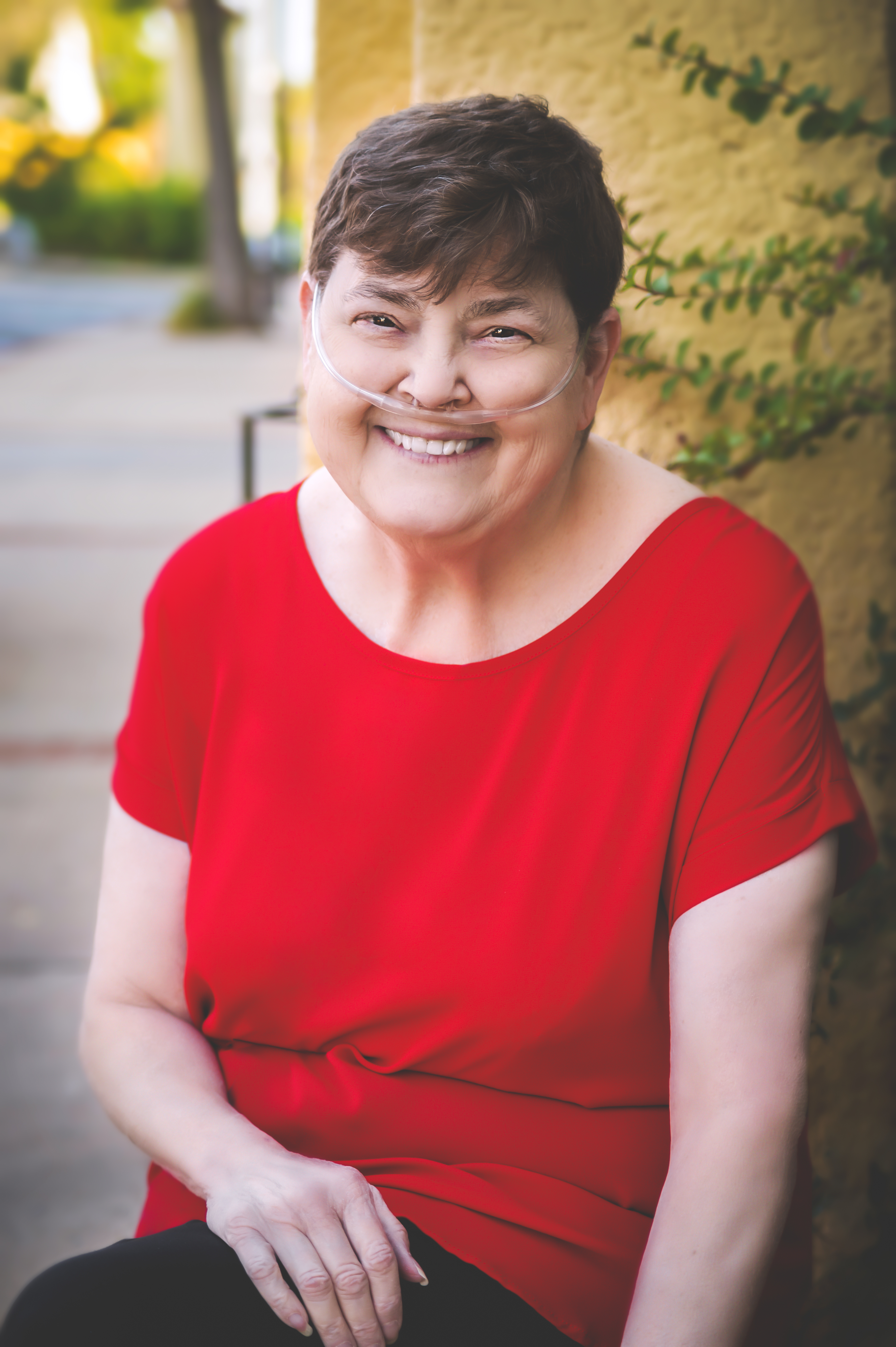 My Campaign Pictures