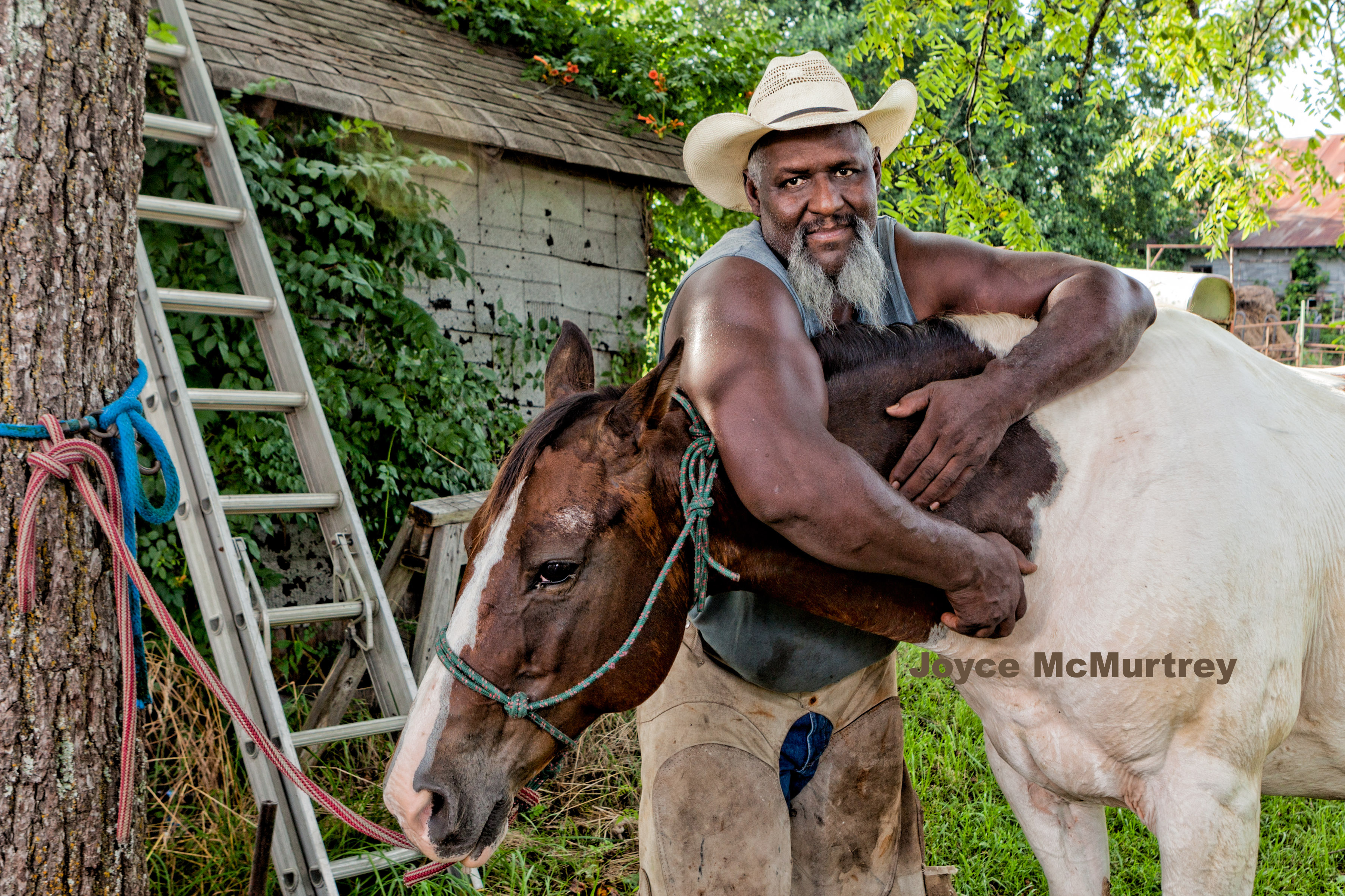 My Campaign Pictures