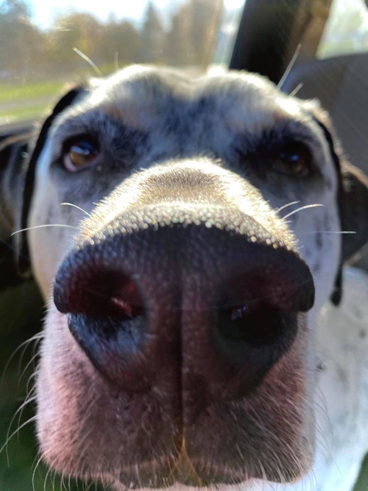 My Campaign Pictures