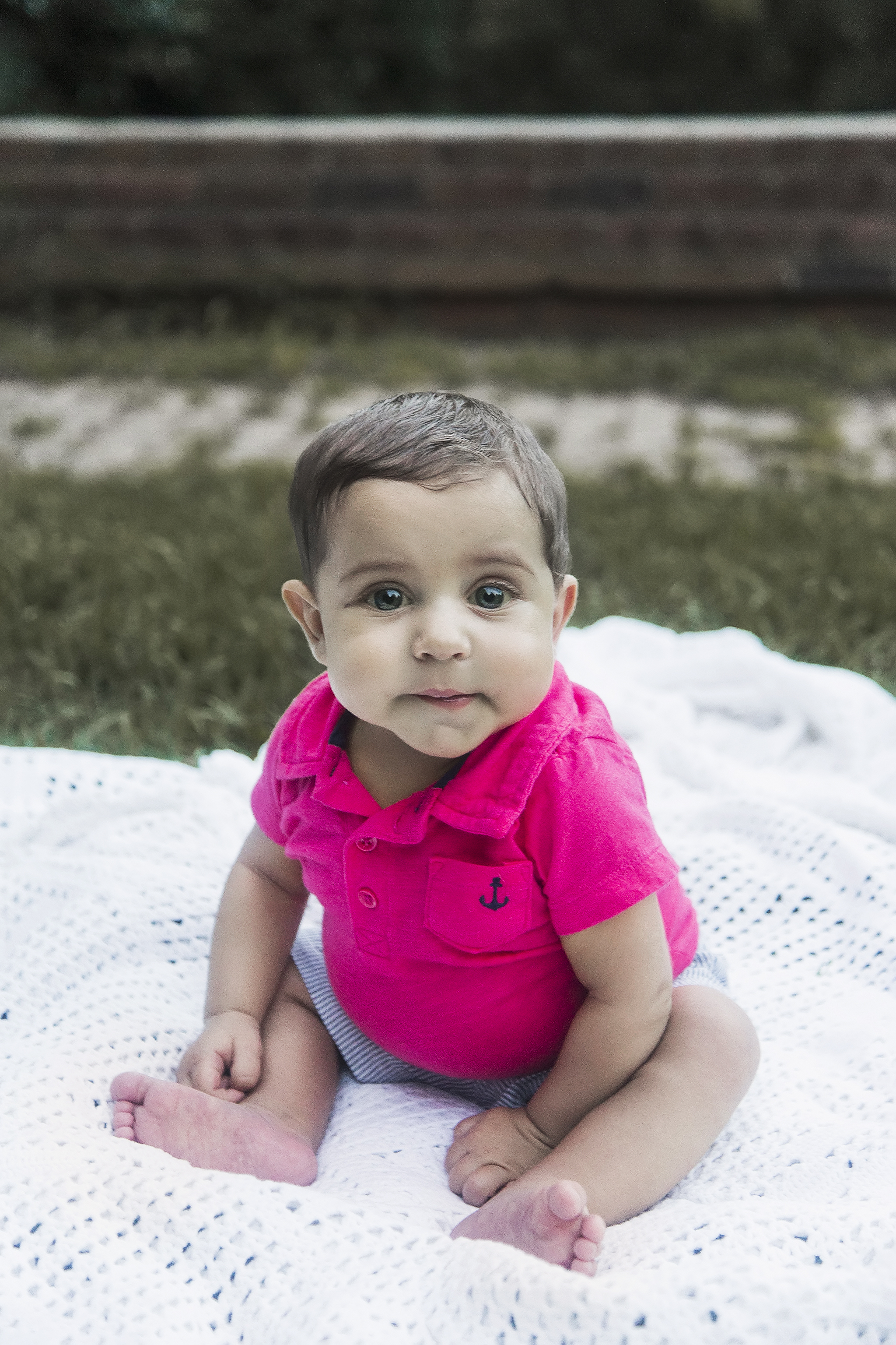 My Campaign Pictures