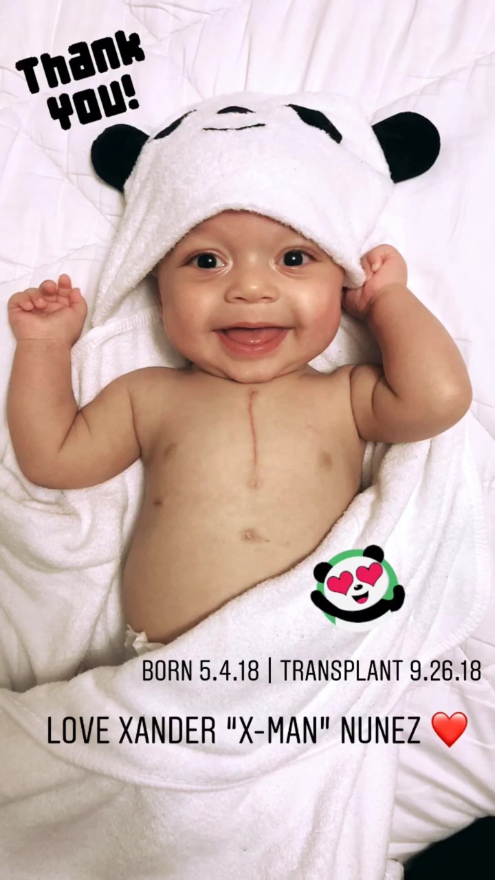 My Campaign Pictures