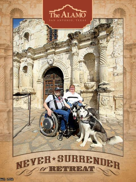 My Campaign Pictures