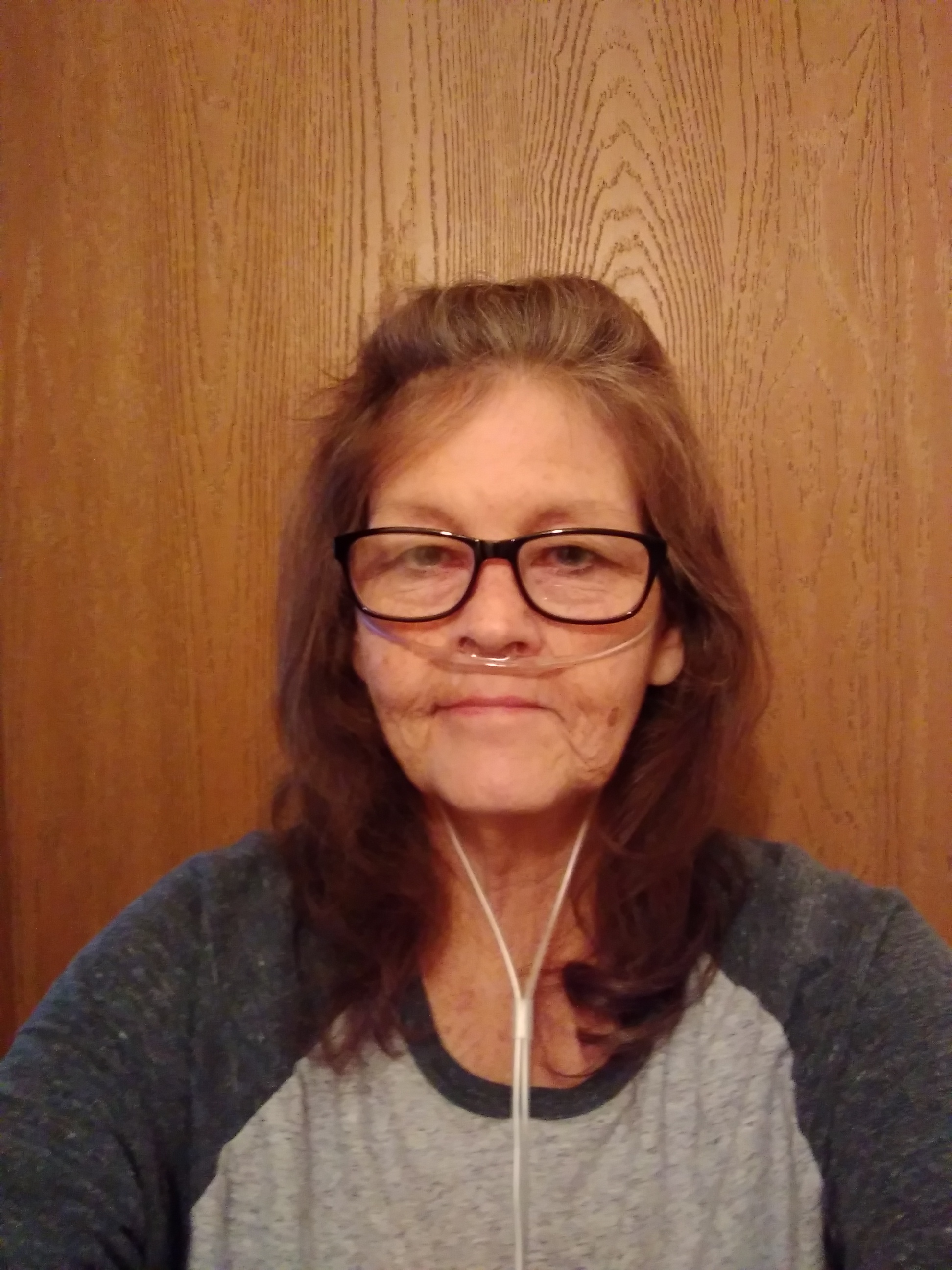 My Campaign Pictures