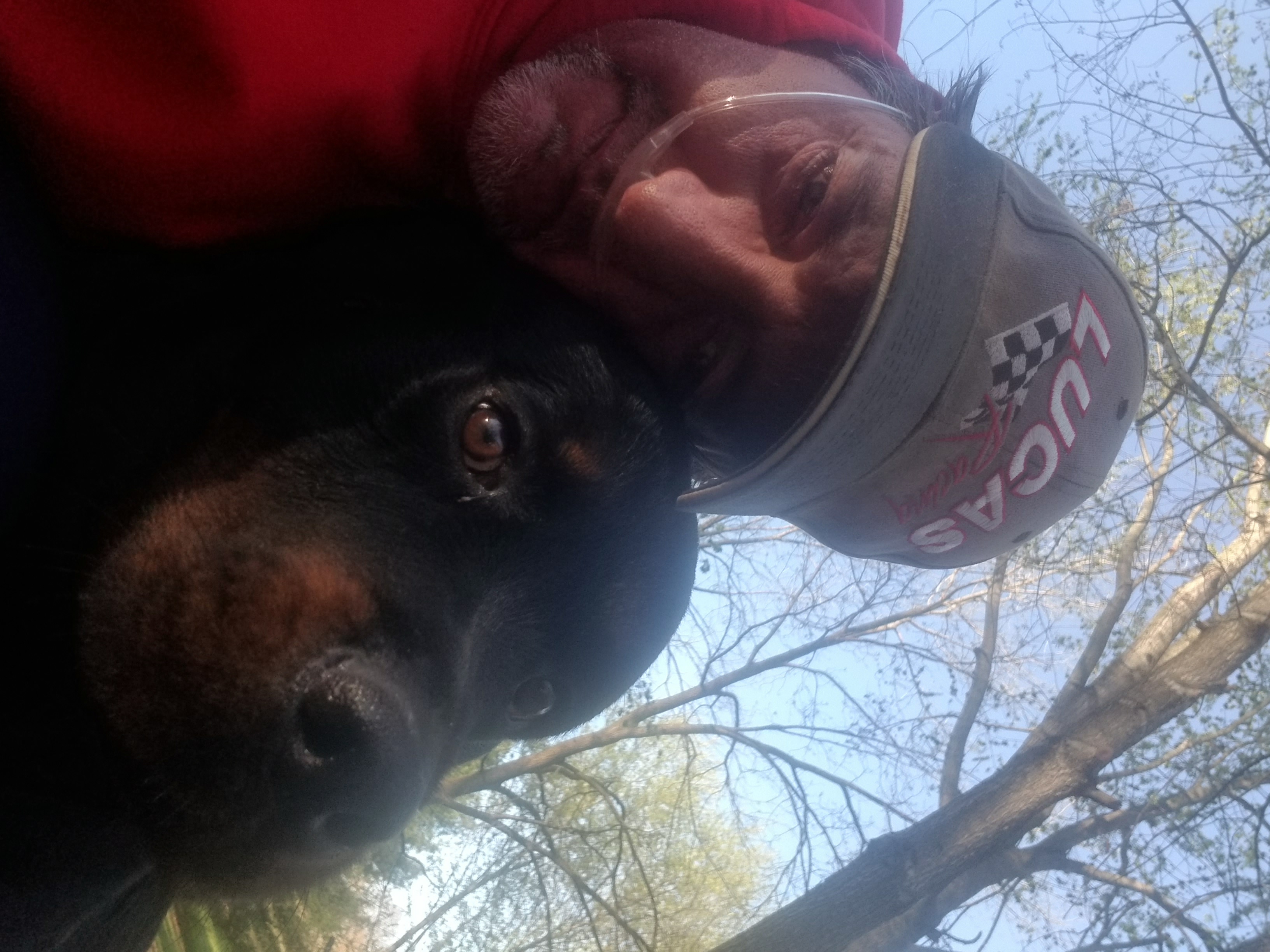 My Campaign Pictures