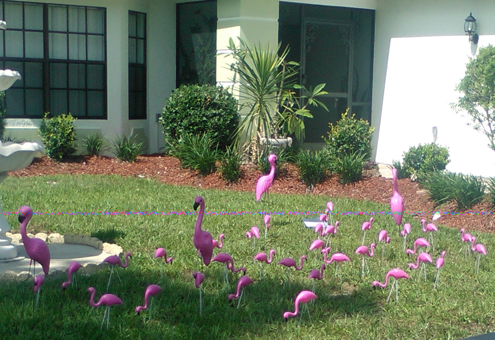 Flocked