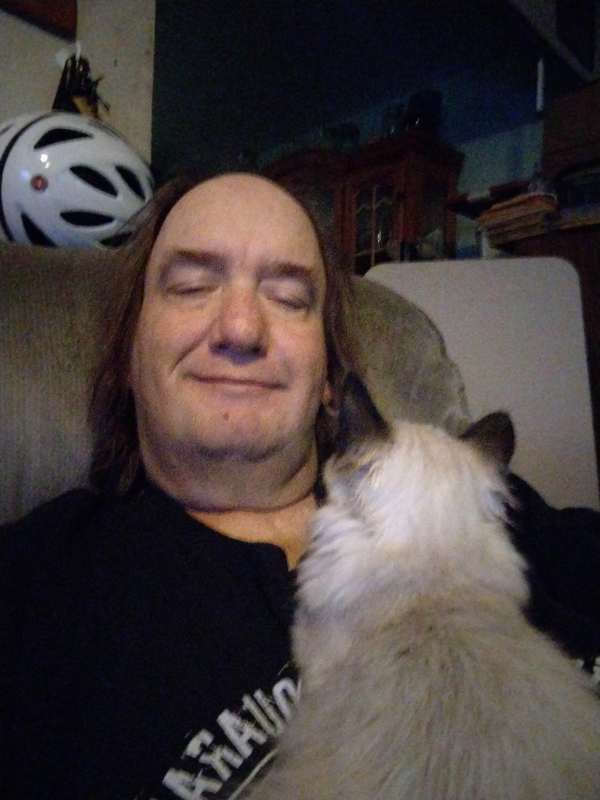 My Campaign Pictures