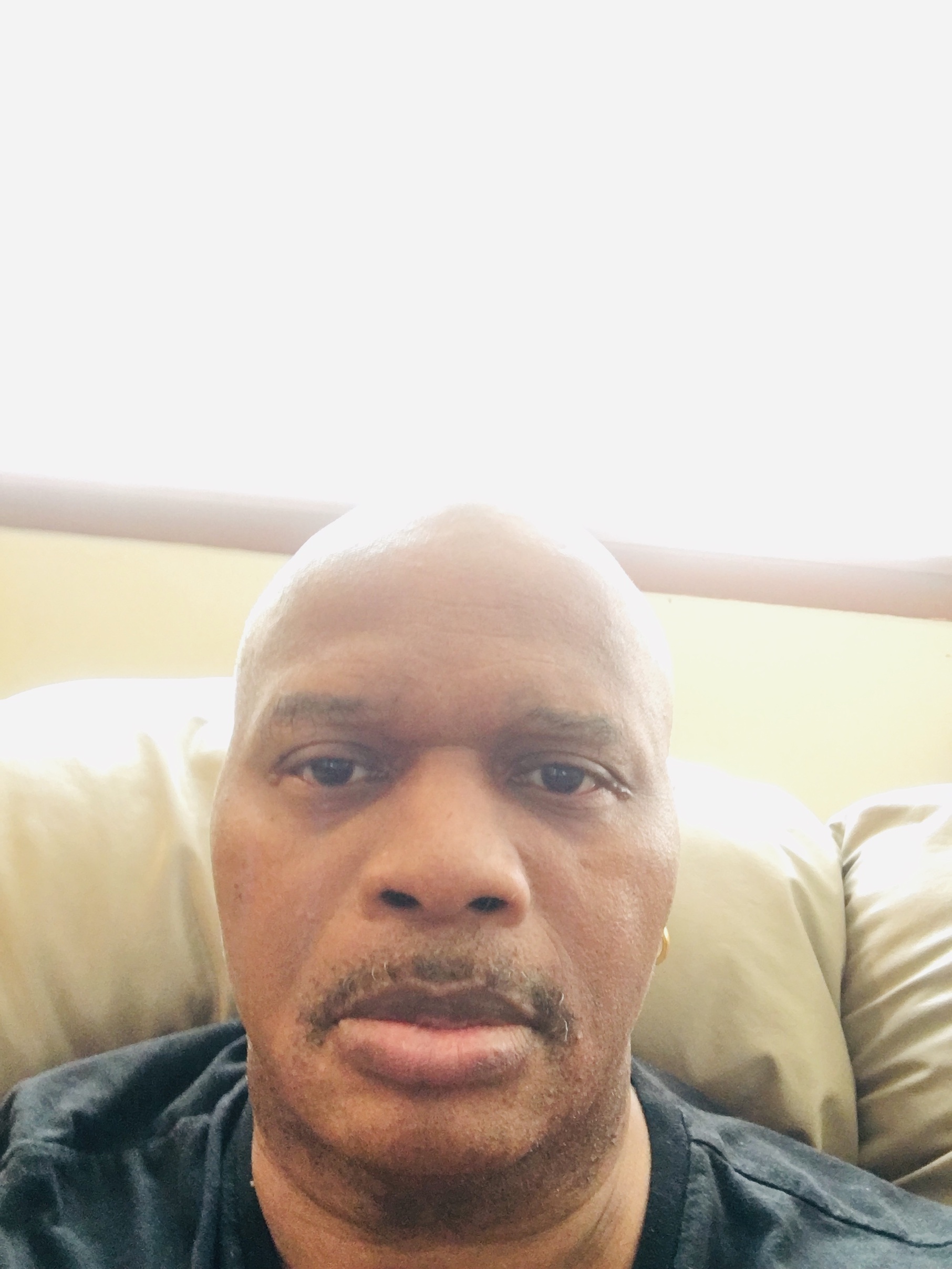 My Campaign Pictures