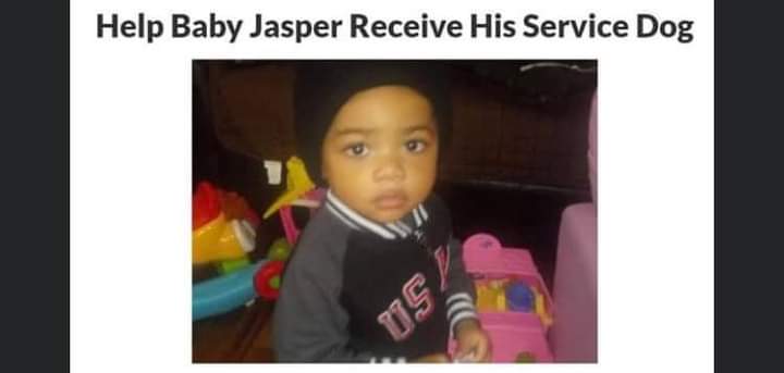 My Campaign Pictures