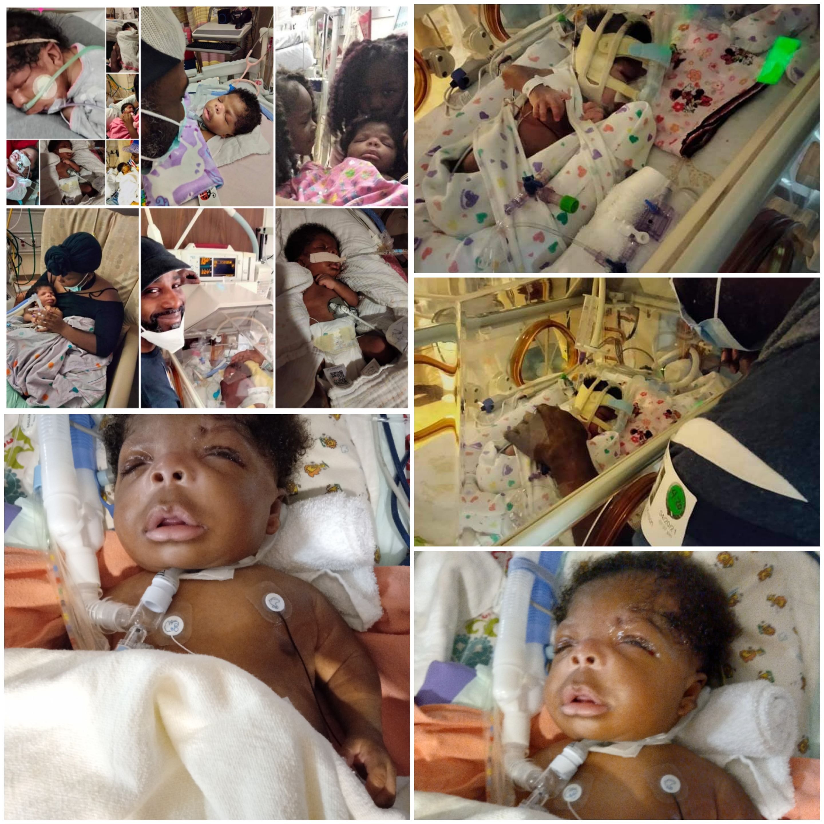 My Campaign Pictures