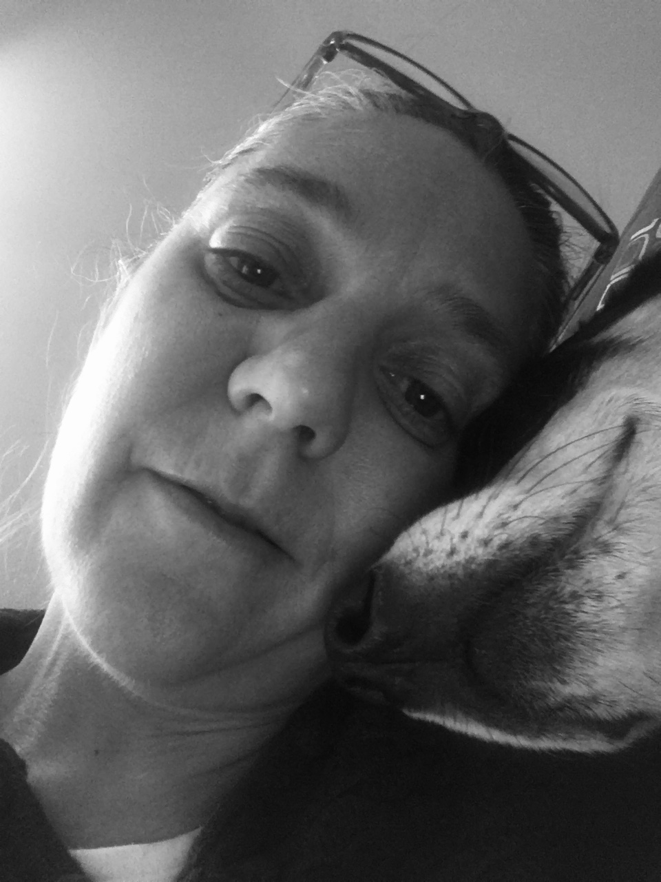 November 28 - Tufts Medical Center