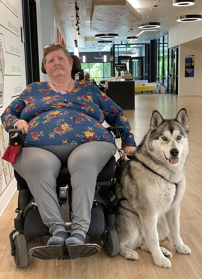 My Campaign Pictures