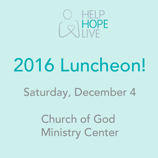 2016 Luncheon Fundraiser