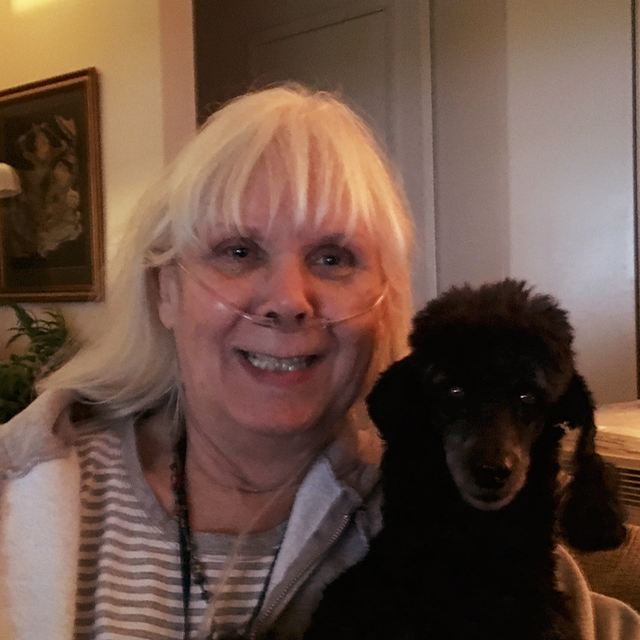 My Campaign Pictures