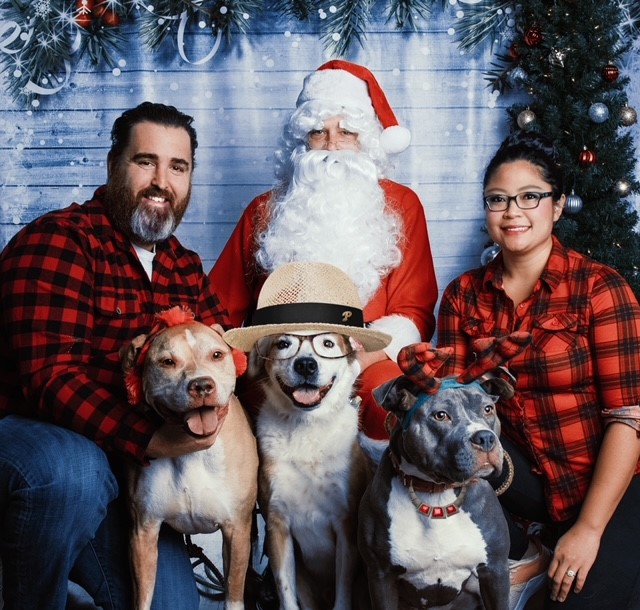 My Campaign Pictures