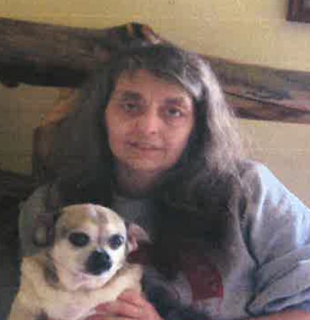 My Campaign Pictures