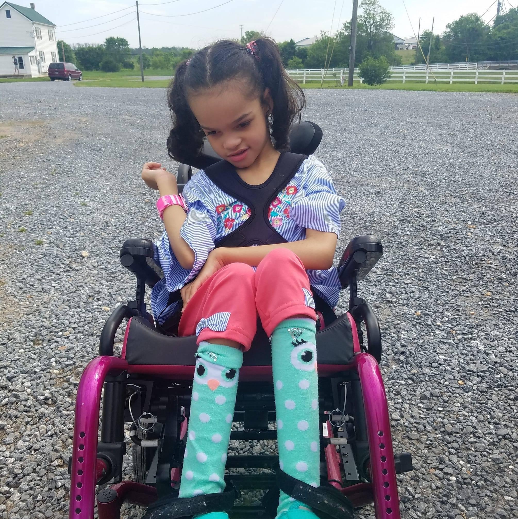 My Campaign Pictures