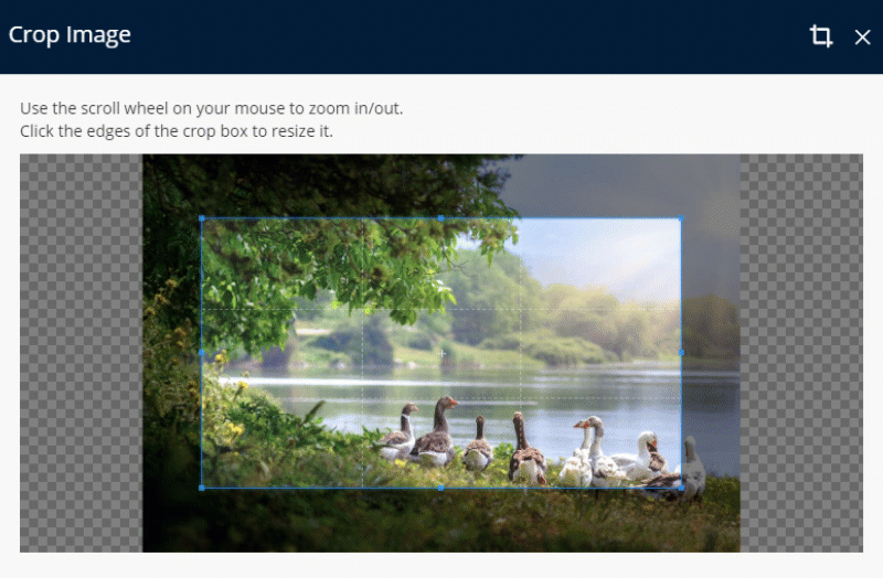Cropping Tool — RMS Help Centre