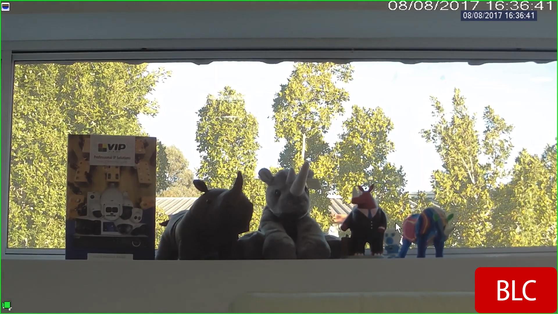 Camera Image Compensation Cornick