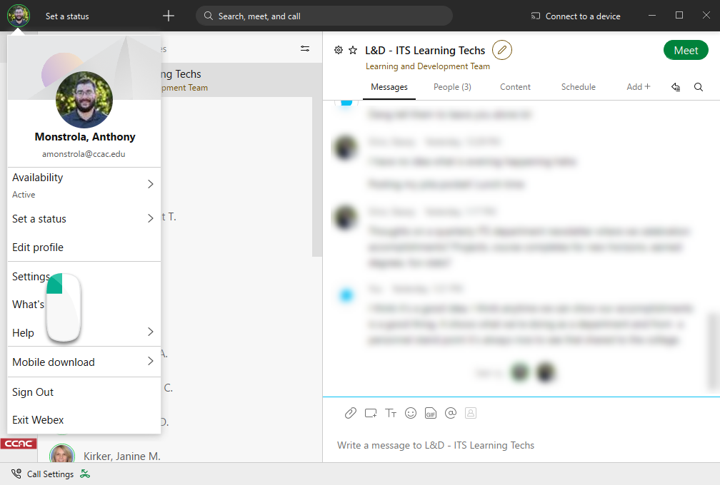 Adding a Virtual Background in ex CCAC's Help Center