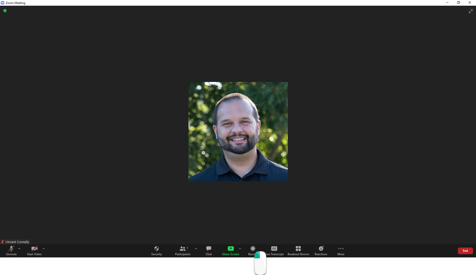 Starting and Stopping a Zoom Cloud Recording CCAC's Help Center