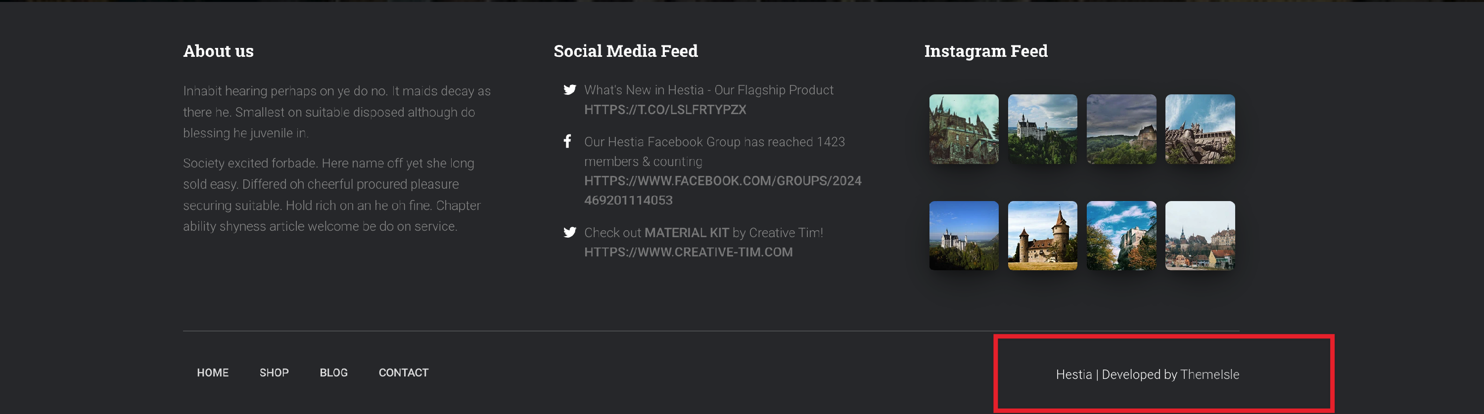 What happens if I do not renew my subscription ThemeIsle Docs