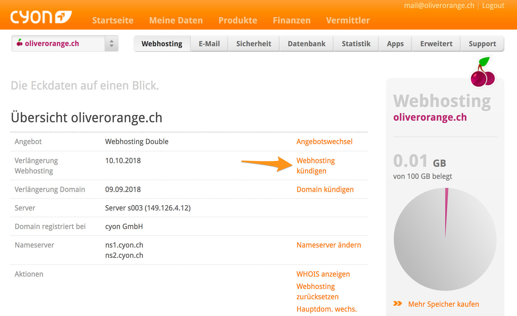 Superschnelles SSD-Webhosting aus der Schweiz