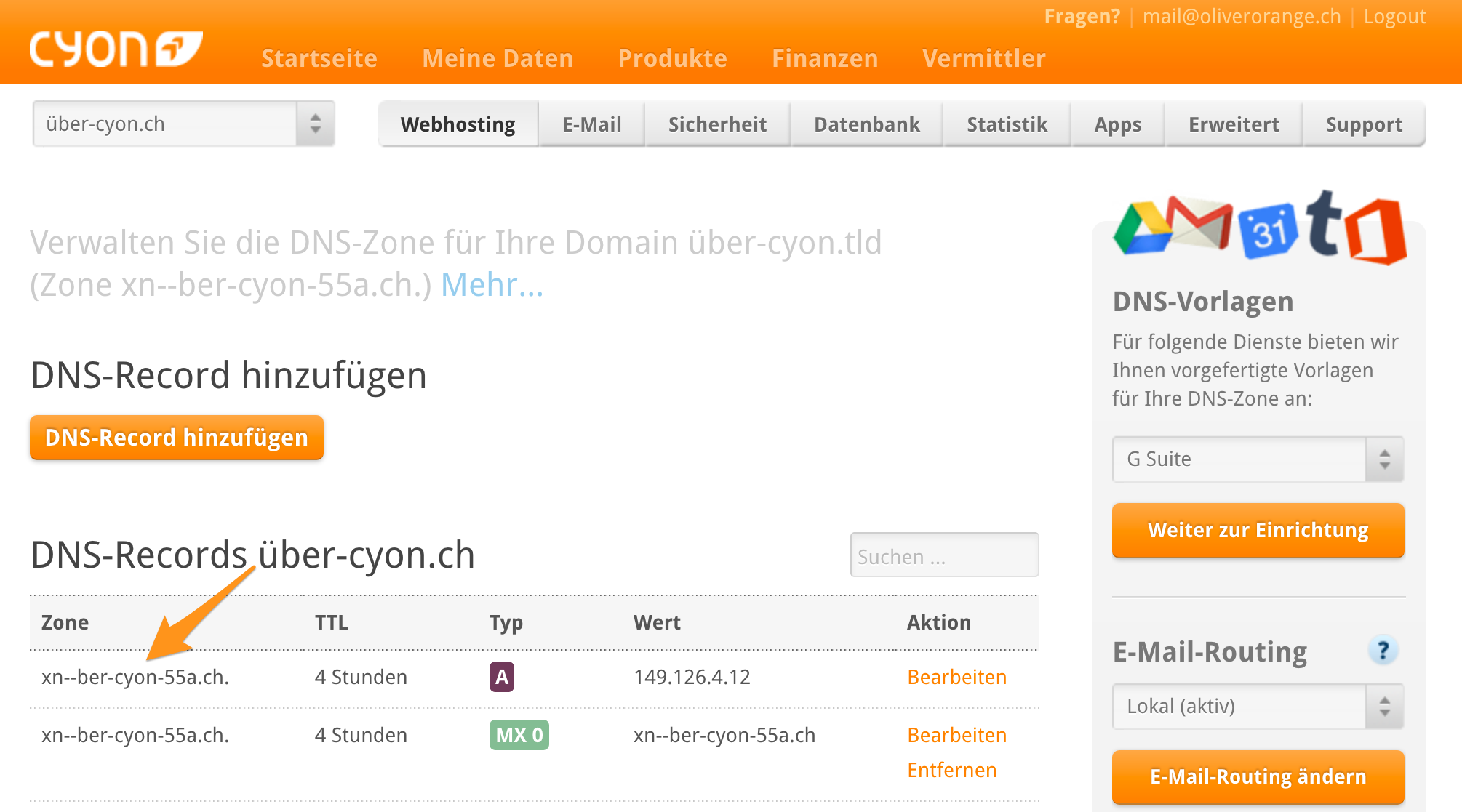 IDN im DNS-Editor