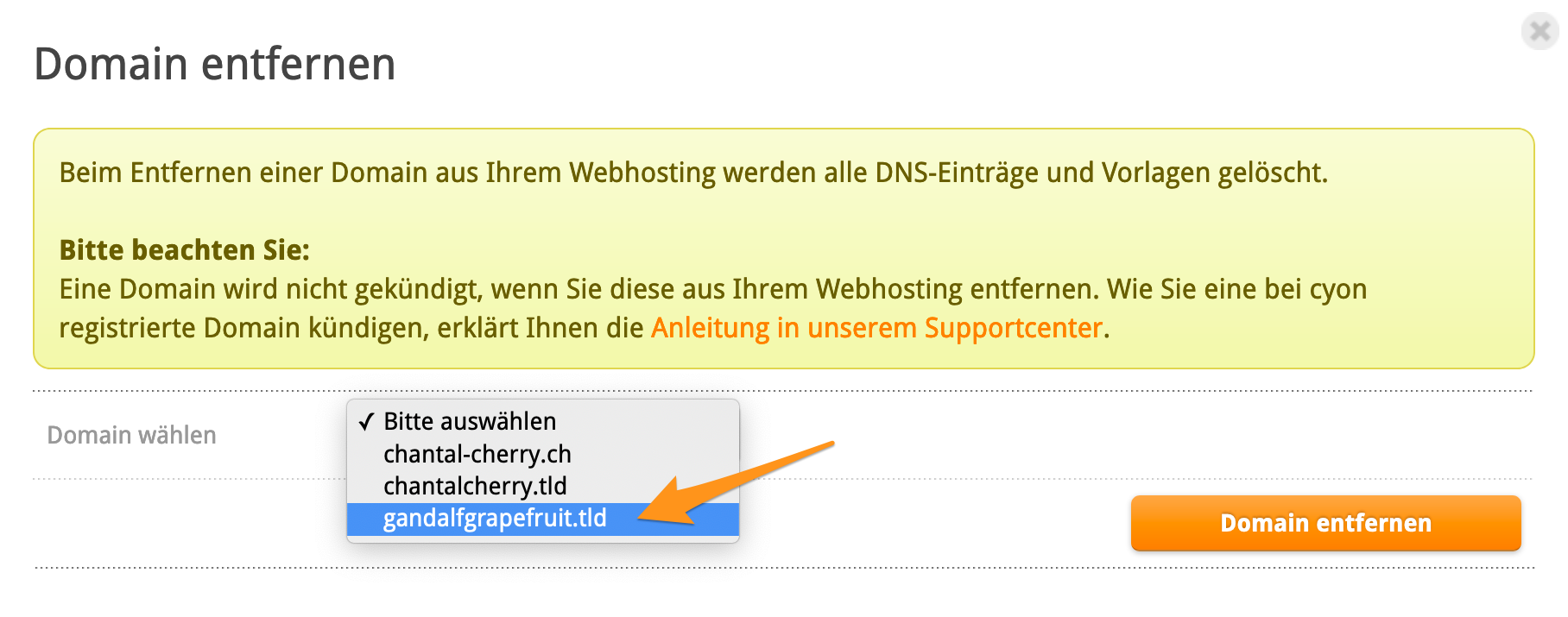 Domain aus meinem Webhosting entfernen