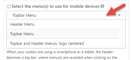 Mobile menus expanded