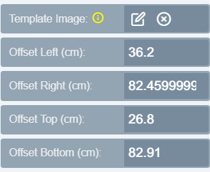 Canvas offset panel shown at the bottom of the form once a template image is set