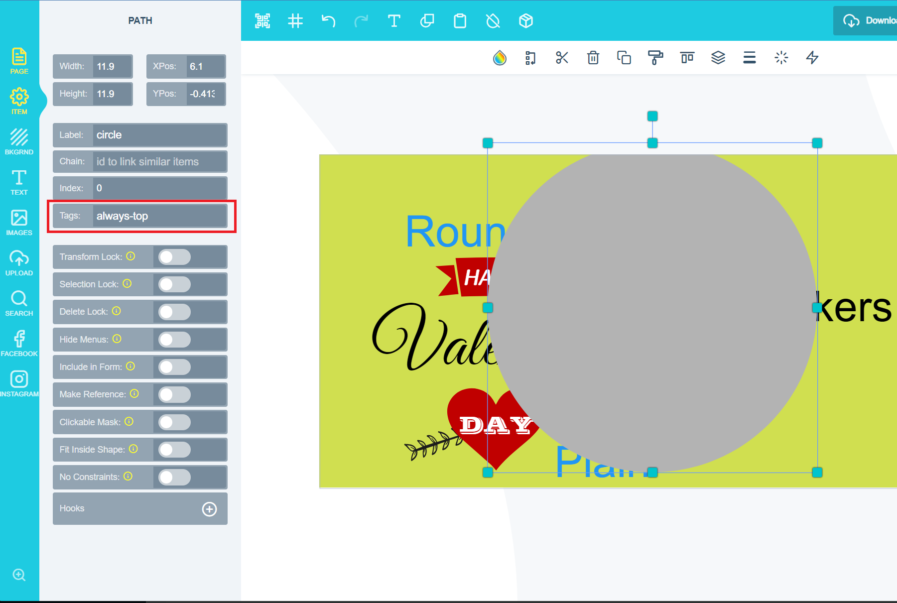 Tag section of the item panel with the always-top tag added
