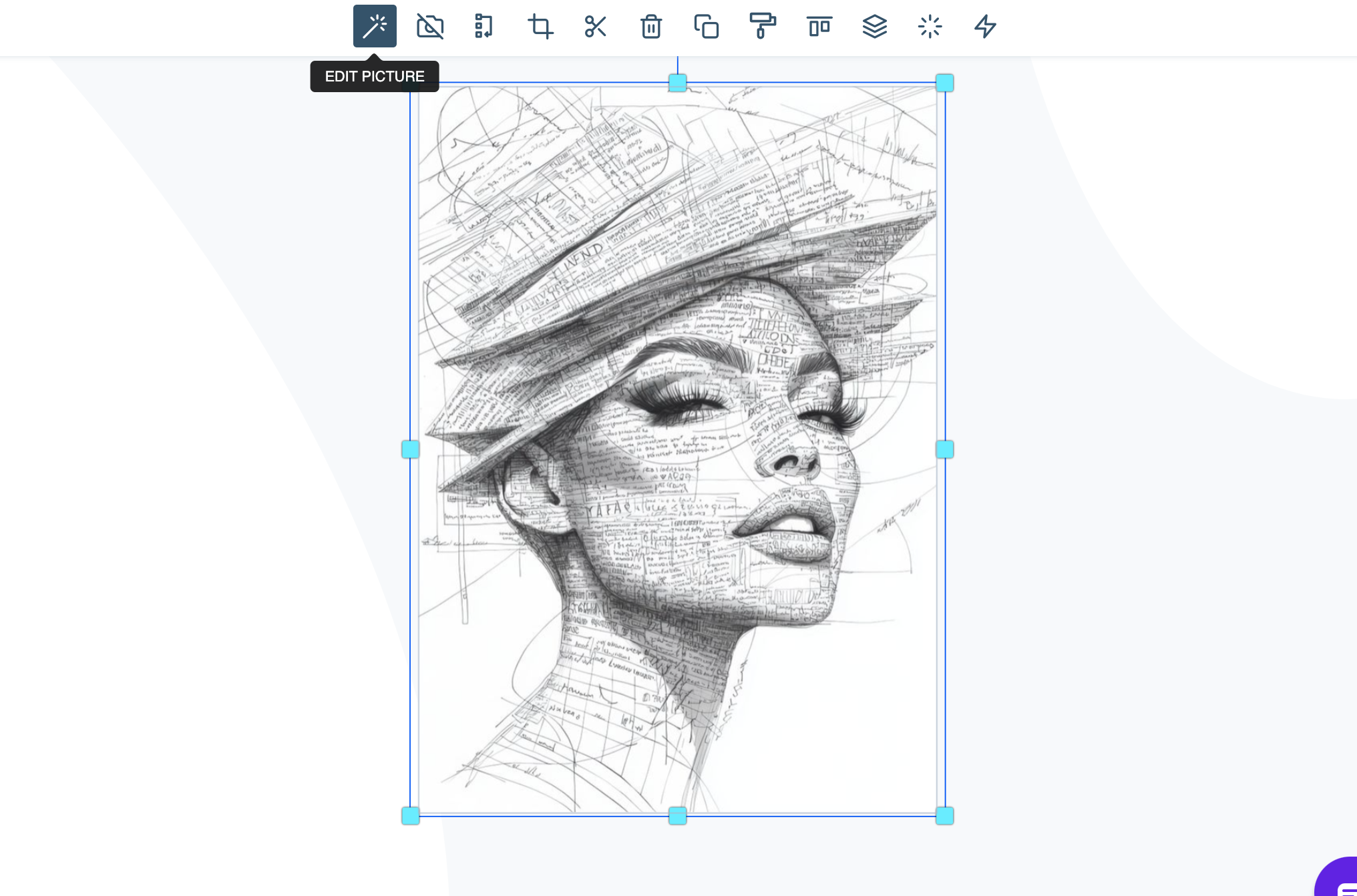 Edit Picture button on the toolbar for the selected image