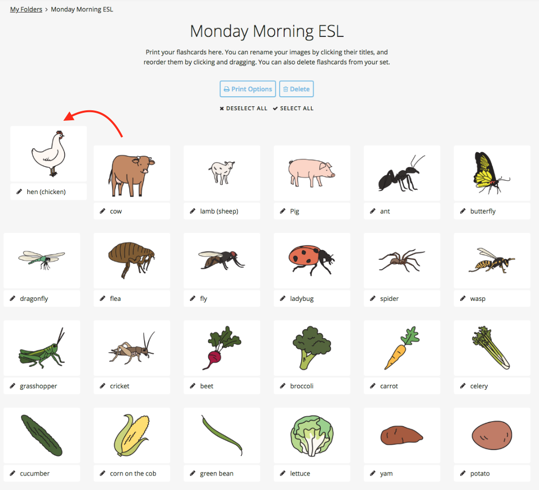 How to Print Flashcard Sets ESL Library Help Docs