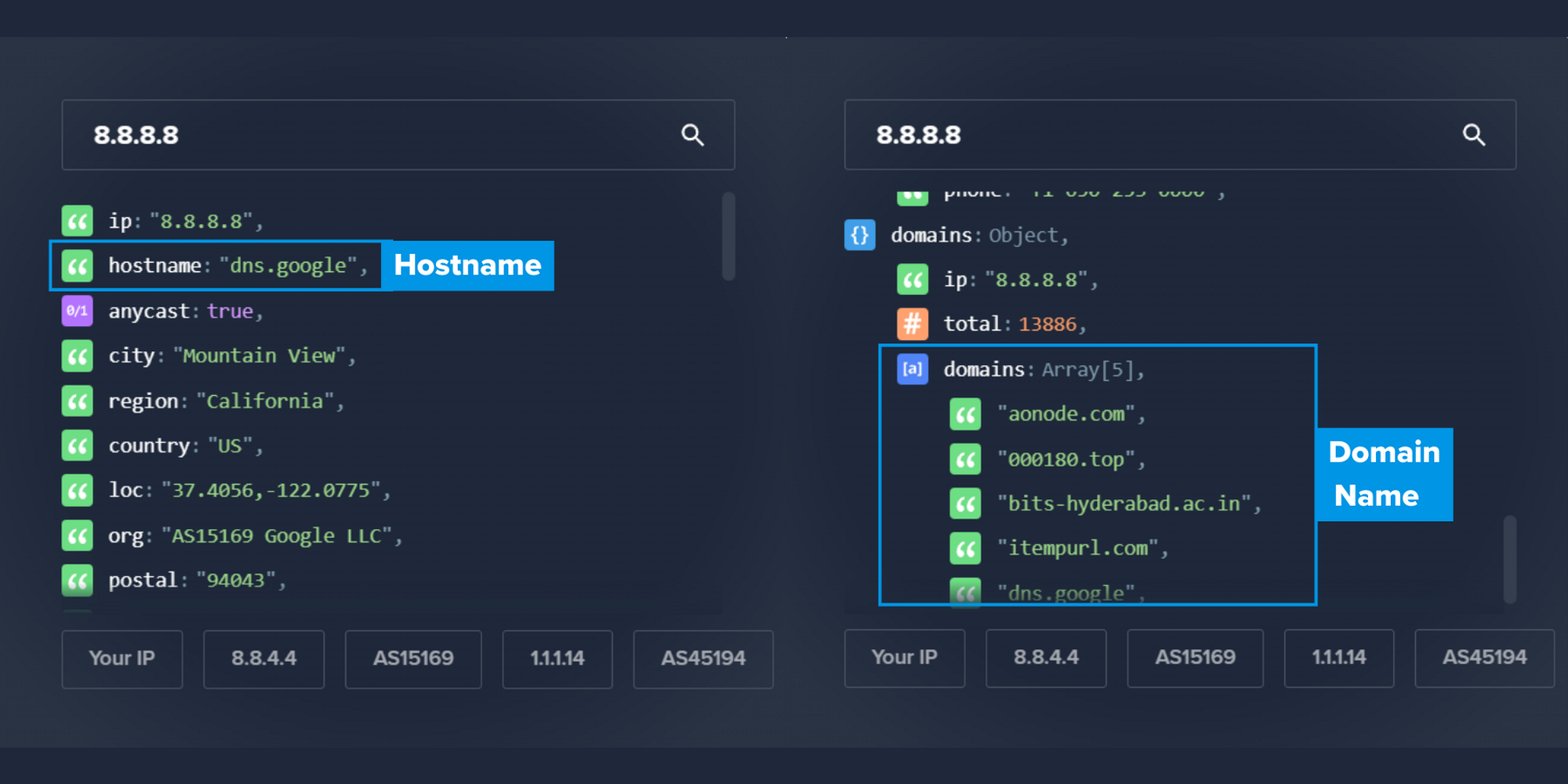 Hostname and domain from IPinfo IP address lookup