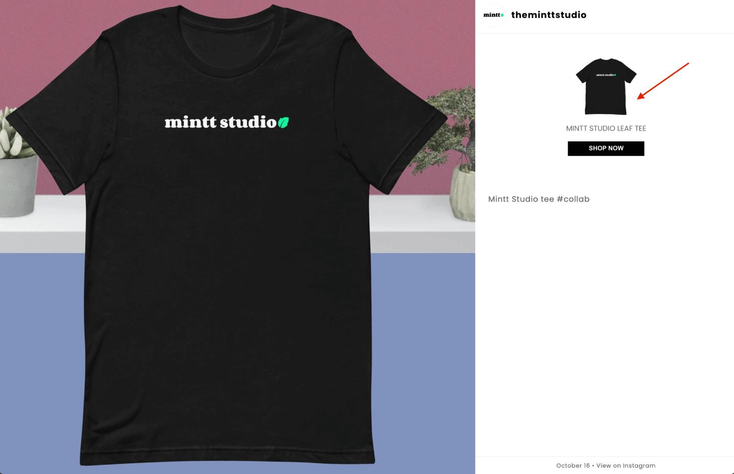 Instafeed detailed pop-up showing an Instagram image post with a tagged product on the right.