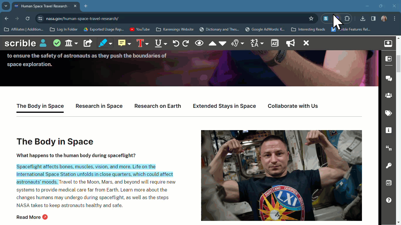 Troubleshooting Browser Extension Errors in Scrible Scrible