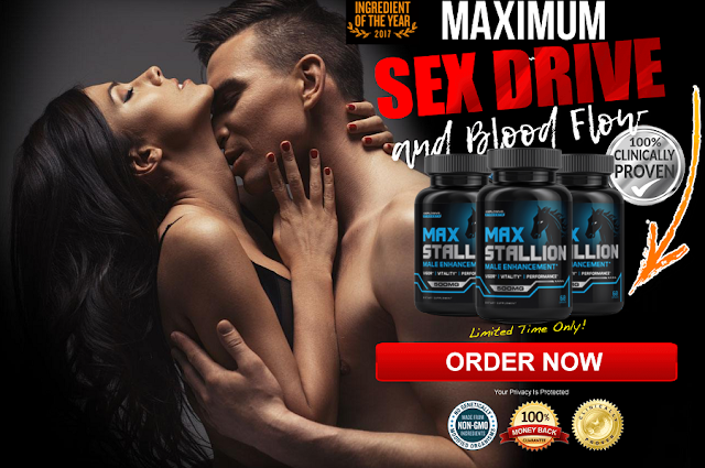 Max Stallion