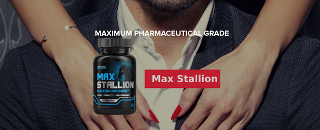Max Stallion