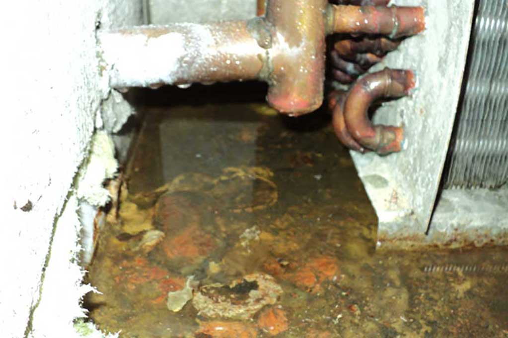 Condensate Drain Pan Replacement Customer Knowledge Base Direct Service, Construction & Design