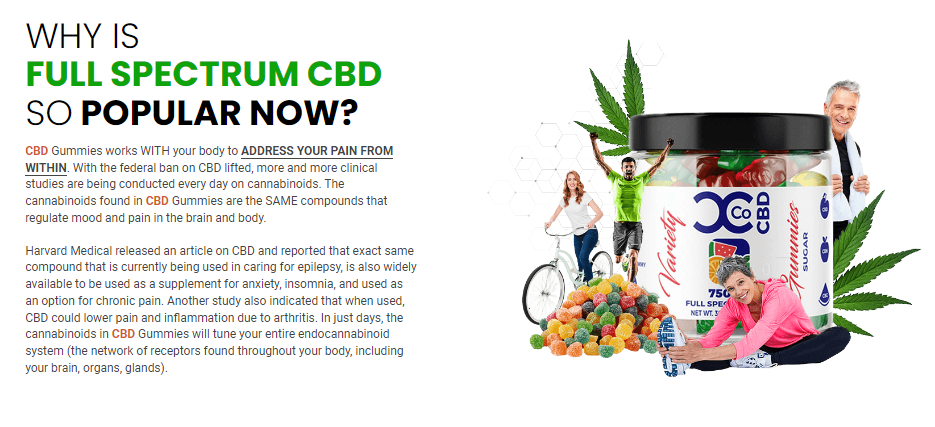Nature Source CBD Gummies