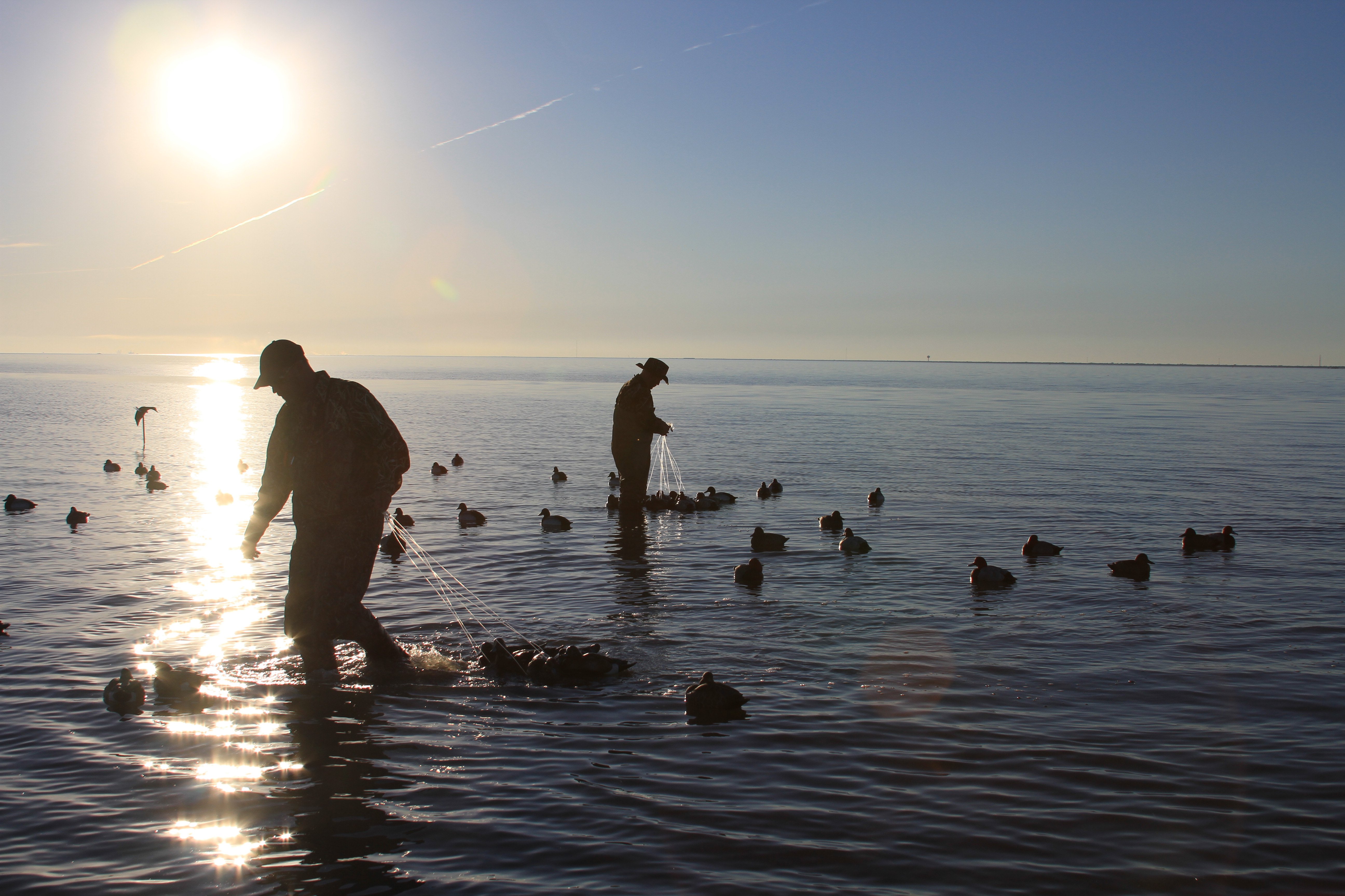 Sun and dekes
