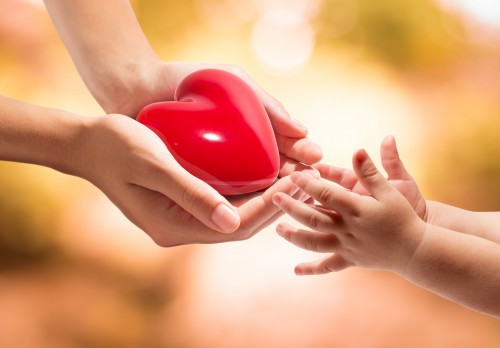 Heart in hands small 500x348