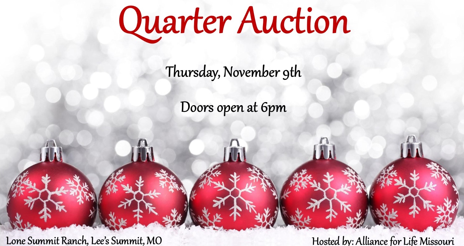 Facebook 2017 quarter auction