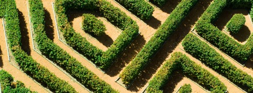 IND Maze