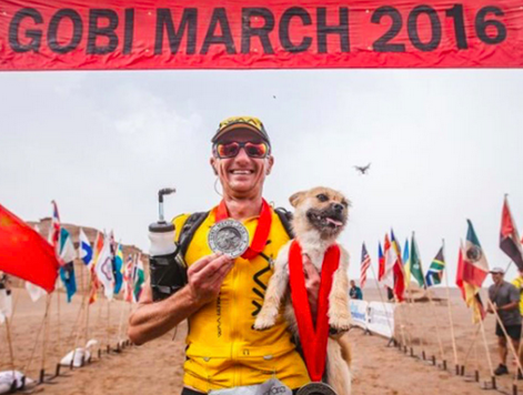 英 남성, '고비 사막 마라톤' 함께 달린 유기견 입양