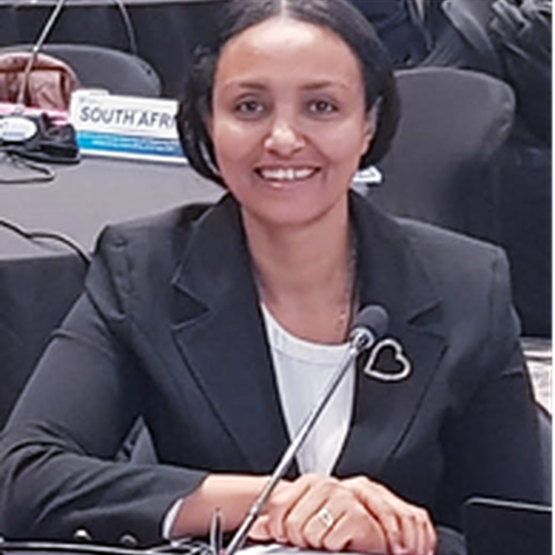 Meseret Zelalem Tadesse