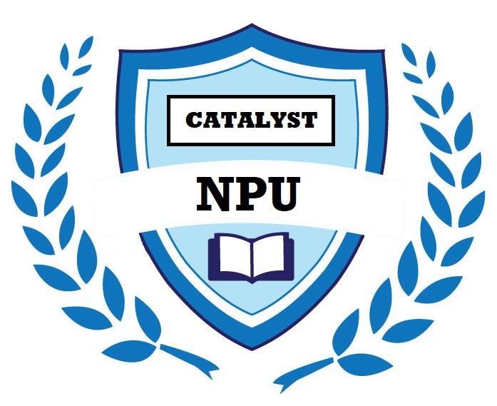 Erin Connelly Catalyst NPU 2021 By Catalyst Center For Nonprofit 