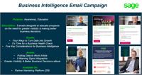 BI Campaigns