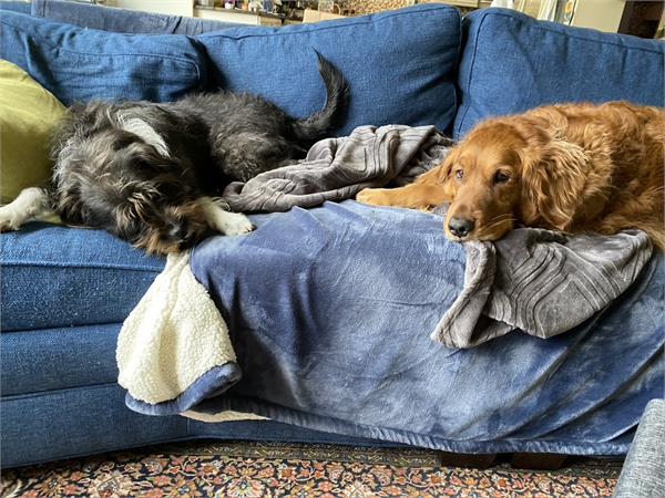 Anything that doesn't require leaving the couch is a plus