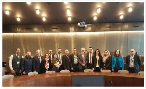 MENA-AIS Founding Members